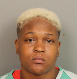 Alfreda Fluker booking photo