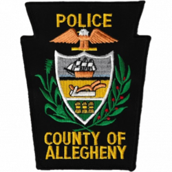 Allegheny-county-PA-police-department.png